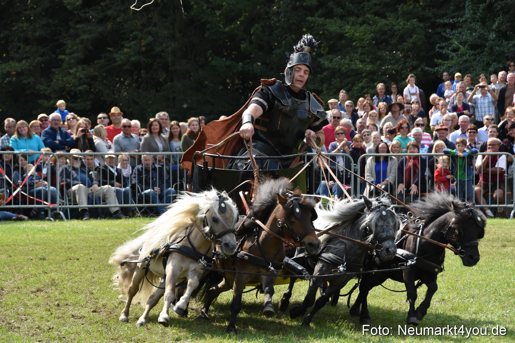 Pferde und Fohlenschau 2017 0290