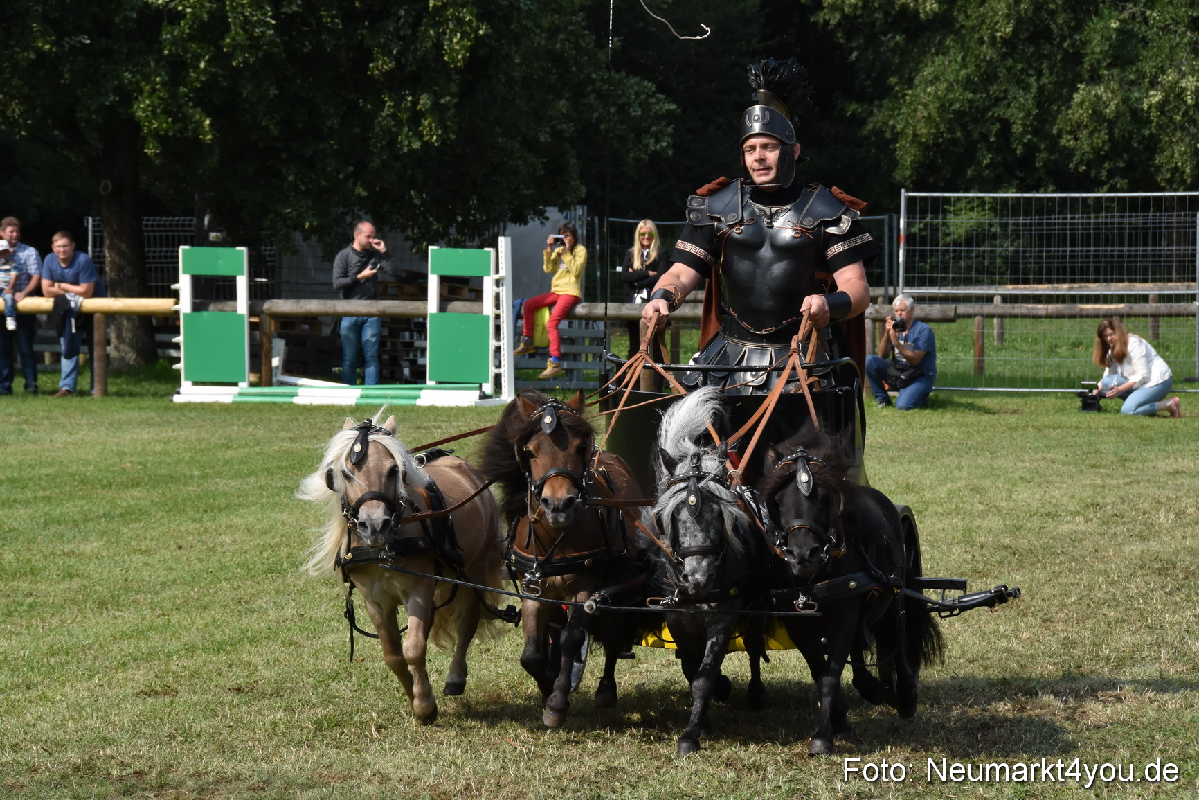 Pferde und Fohlenschau 2017 0291