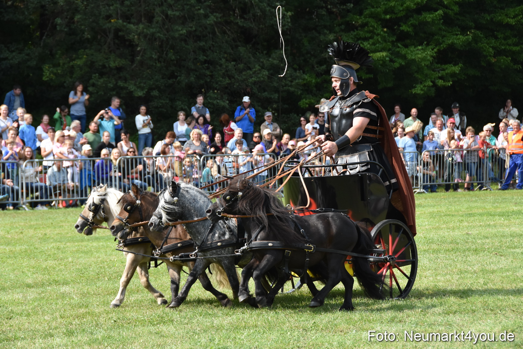 Pferde und Fohlenschau 2017 0292