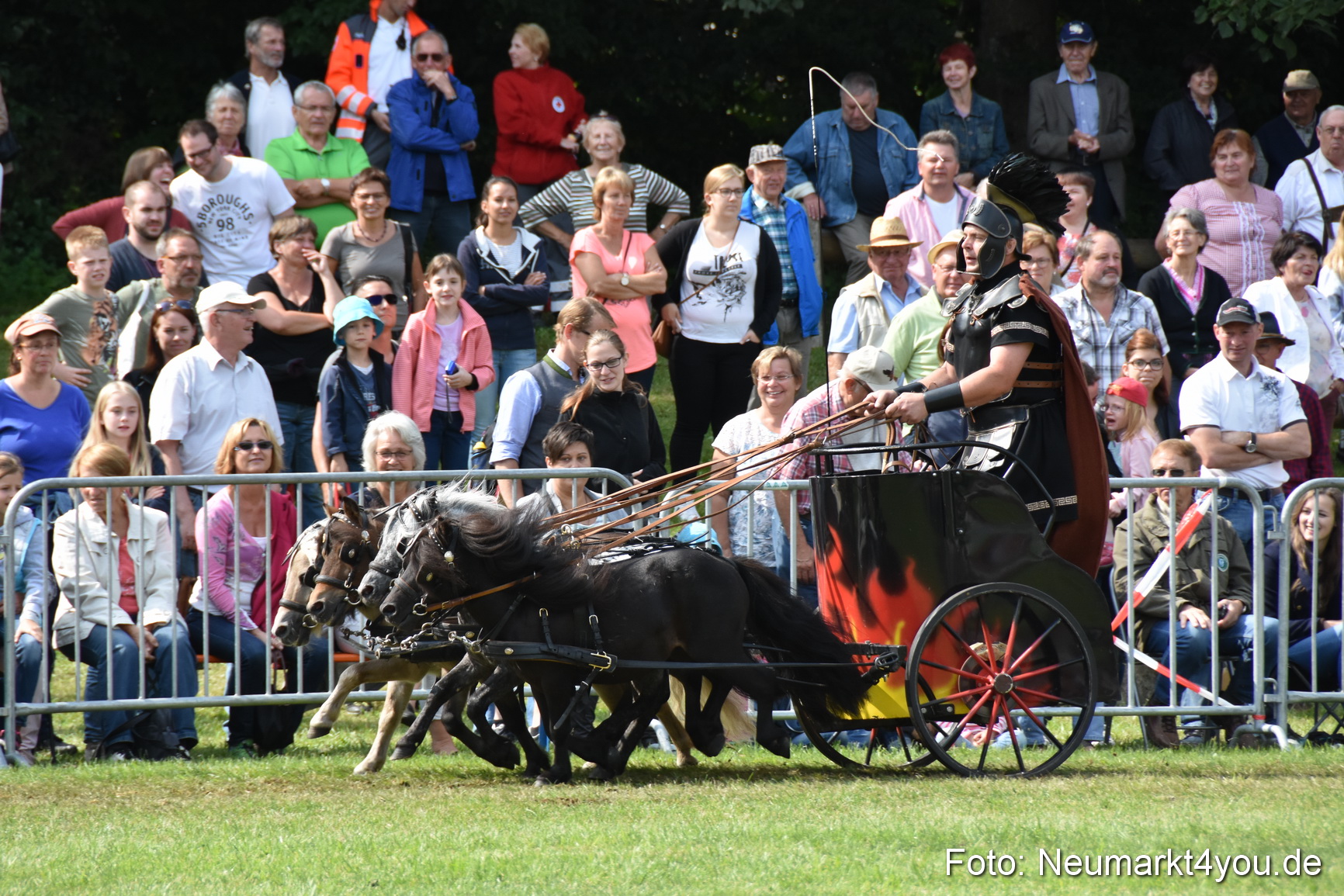 Pferde und Fohlenschau 2017 0293
