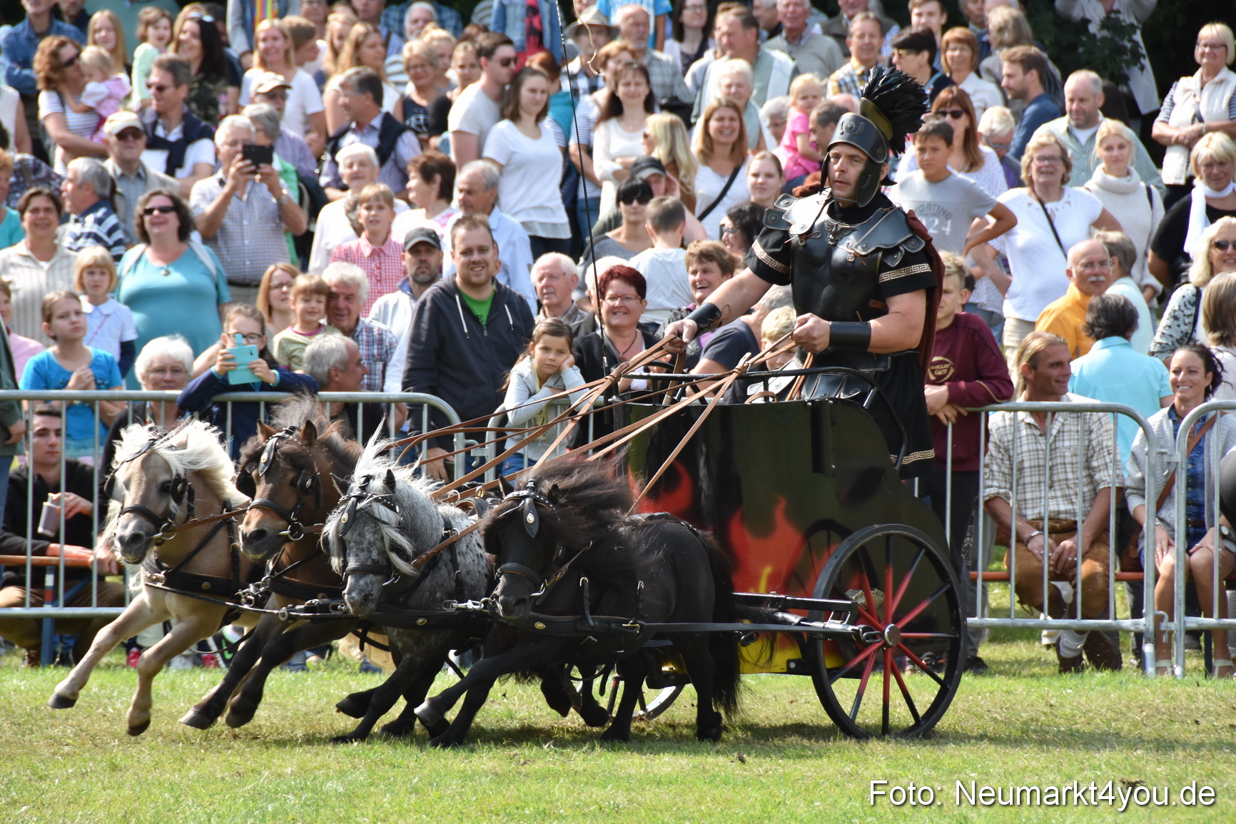 Pferde und Fohlenschau 2017 0294