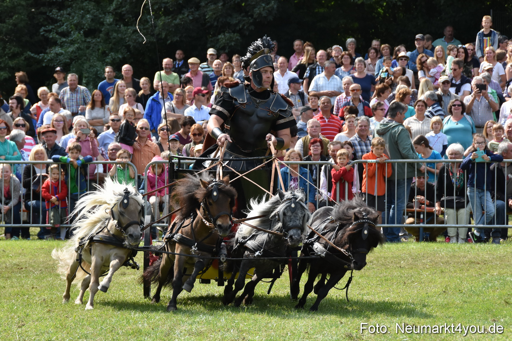 Pferde und Fohlenschau 2017 0295