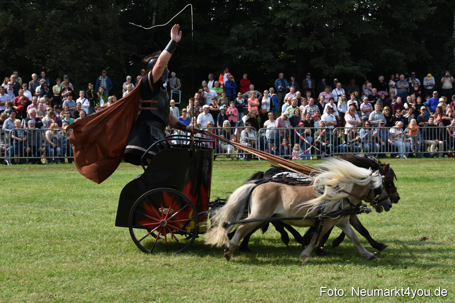 Pferde und Fohlenschau 2017 0296