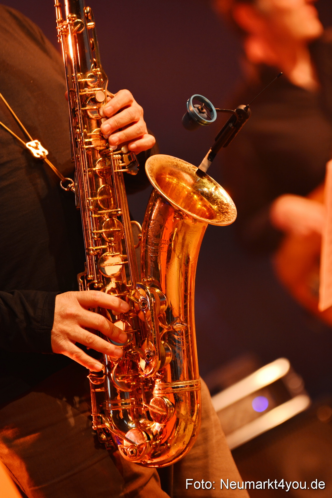 0123 Zappelbude Jazz und Blues Open Wendelstein 2017