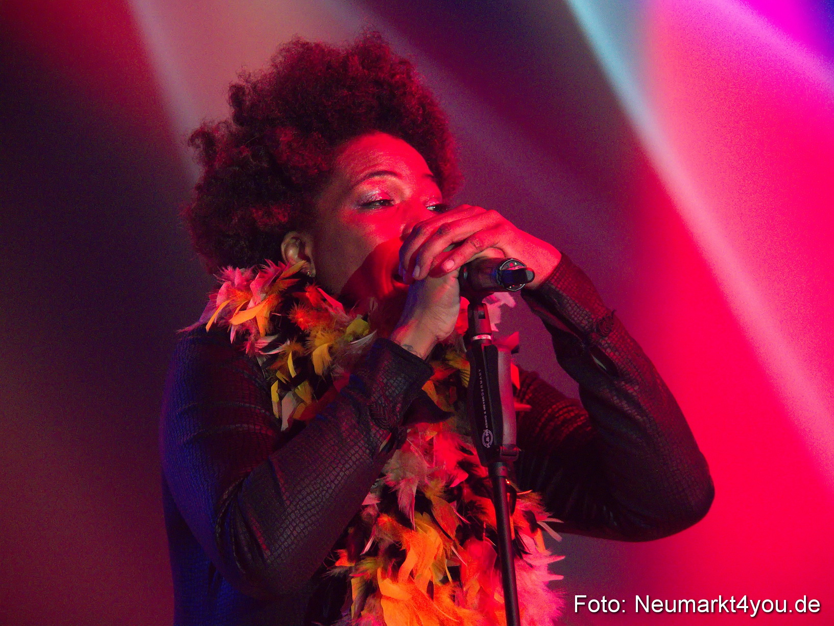 0014 Macy Gray Jazz und Blues Open Wendelstein 2017