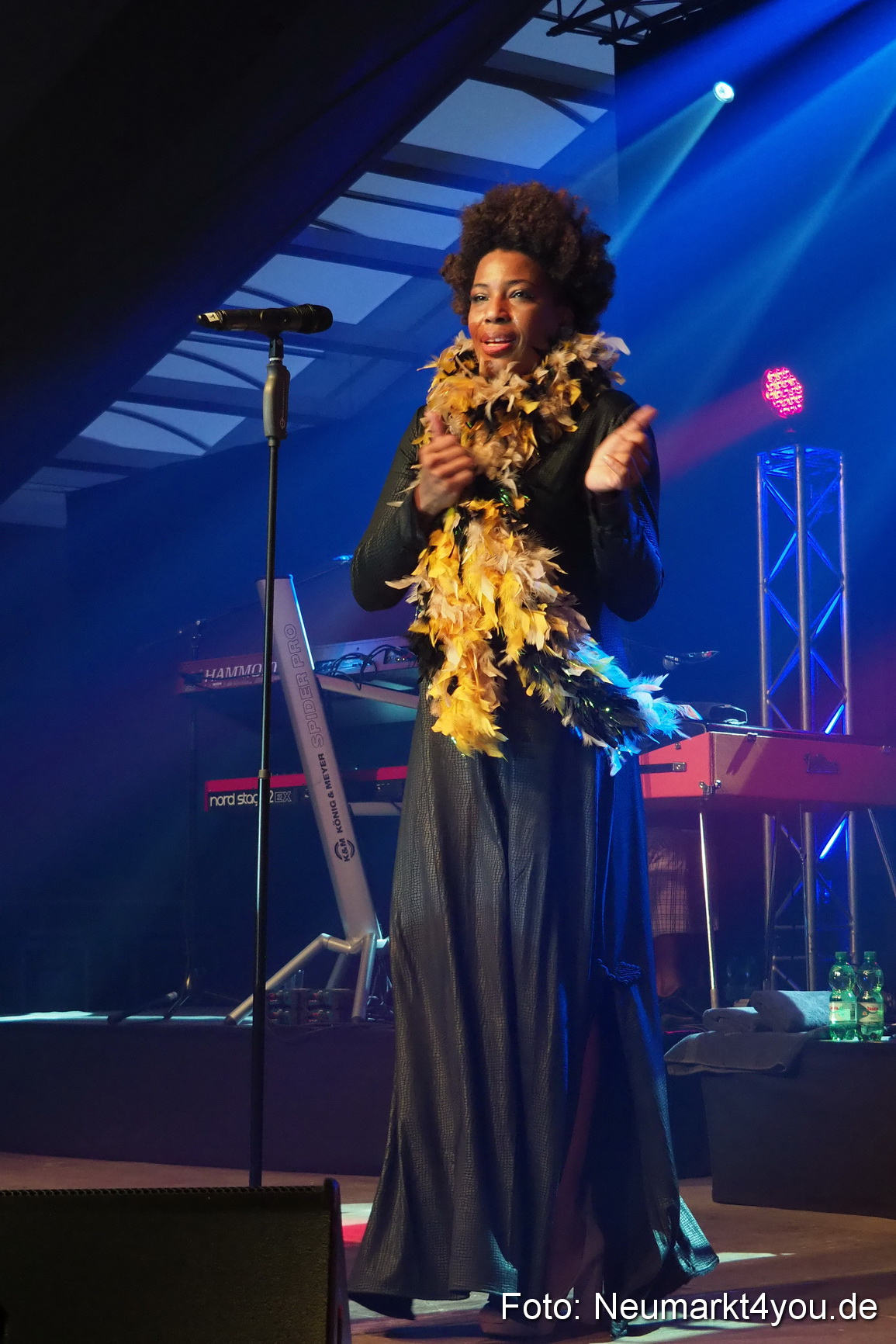 0025 Macy Gray Jazz und Blues Open Wendelstein 2017