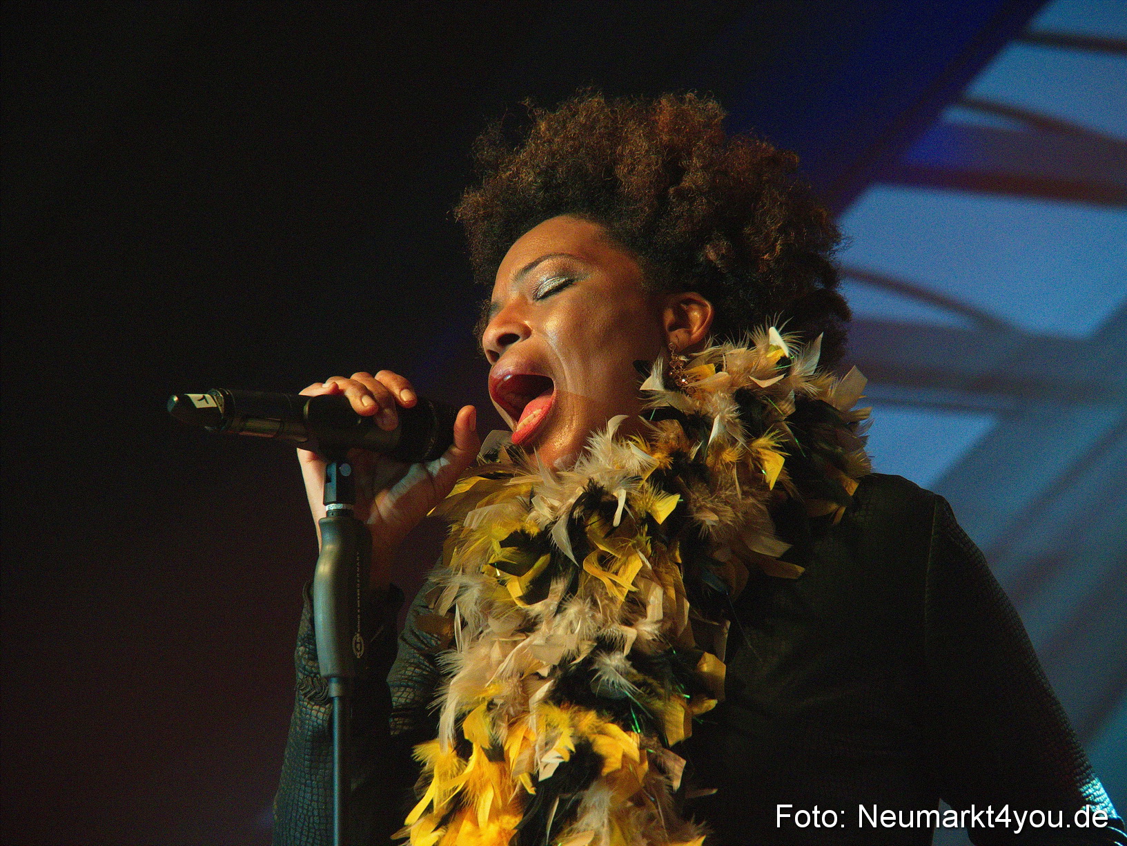 0028 Macy Gray Jazz und Blues Open Wendelstein 2017