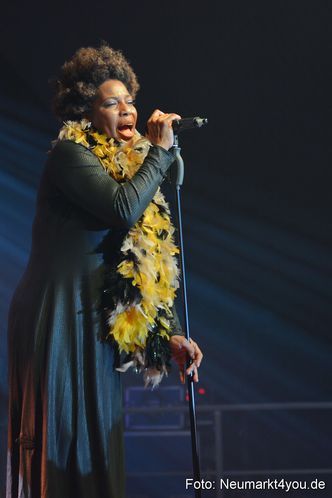 0038 Macy Gray Jazz und Blues Open Wendelstein 2017