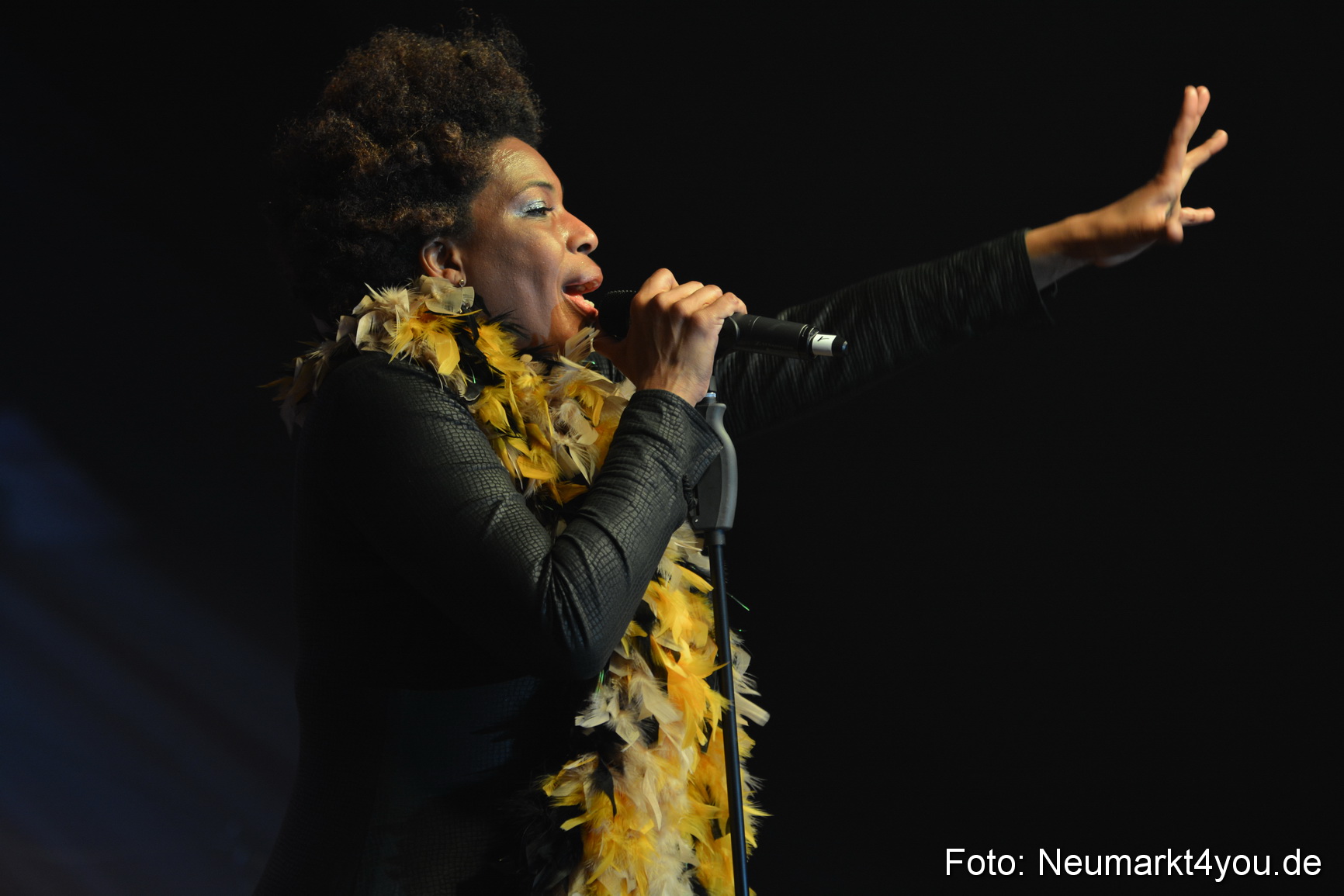 0042 Macy Gray Jazz und Blues Open Wendelstein 2017