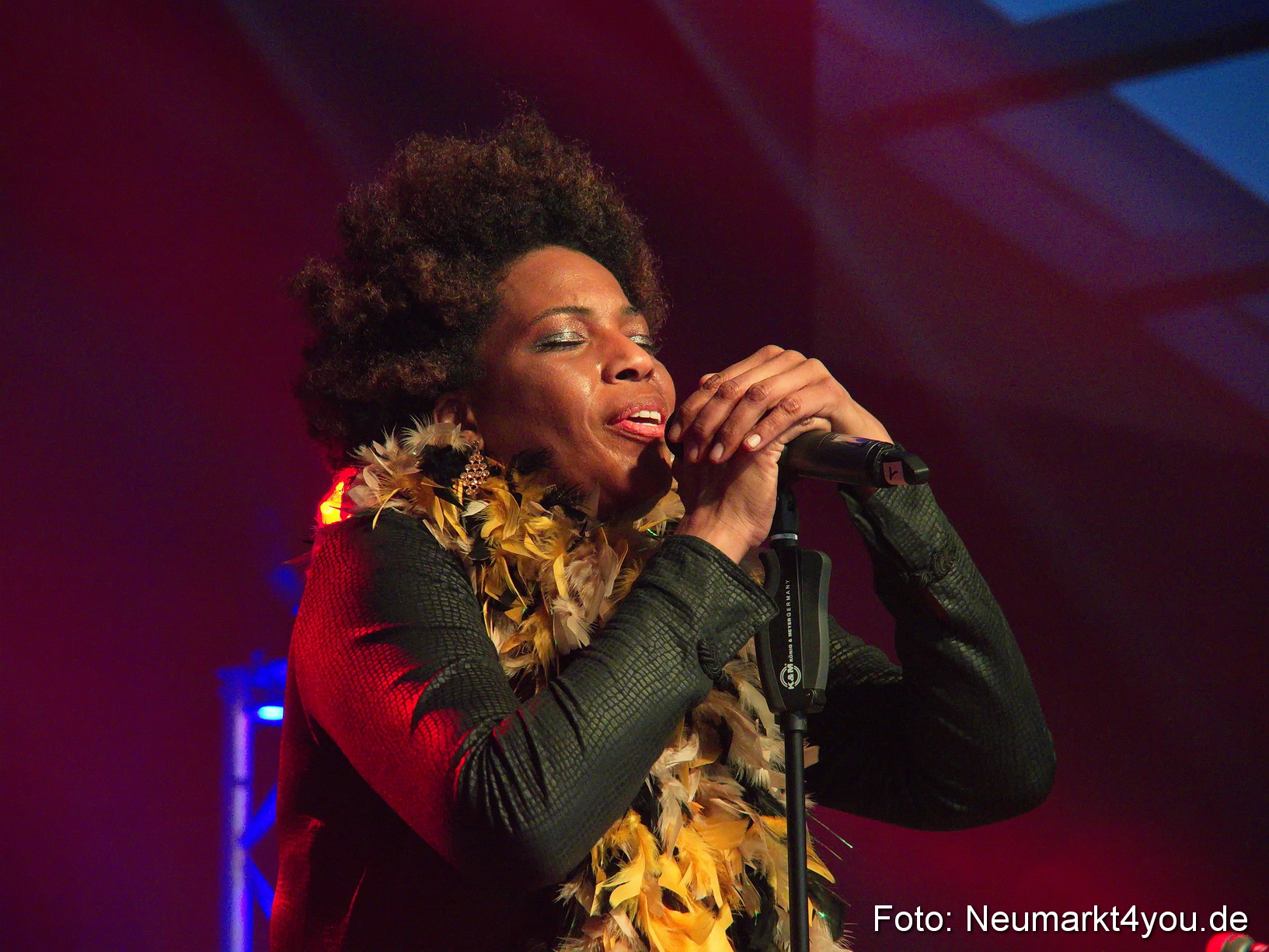 0053 Macy Gray Jazz und Blues Open Wendelstein 2017