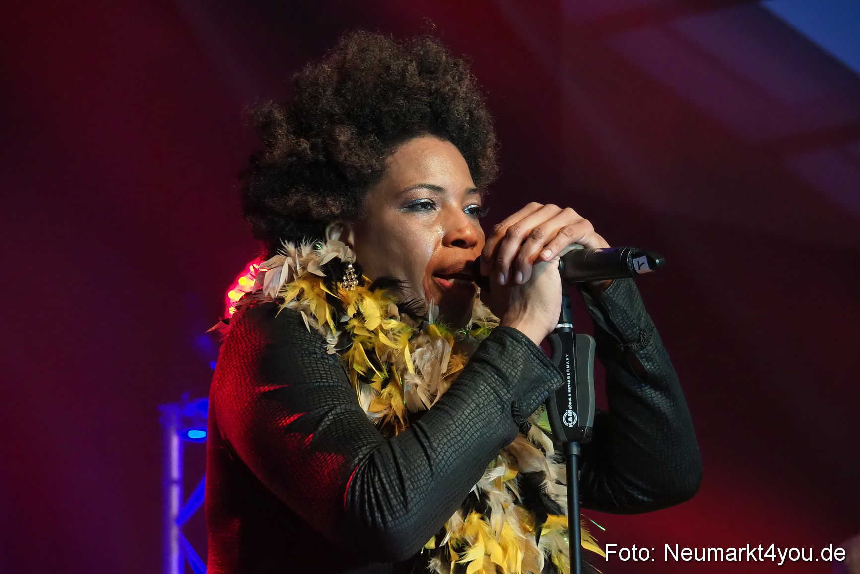 0056 Macy Gray Jazz und Blues Open Wendelstein 2017