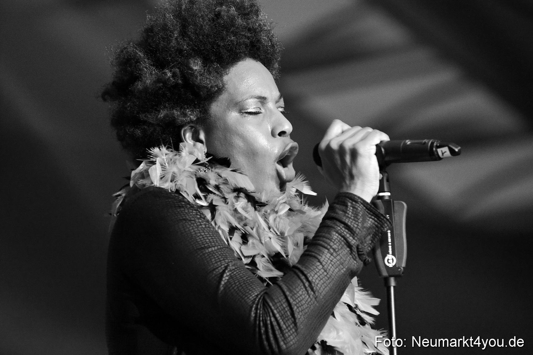 0062 Macy Gray Jazz und Blues Open Wendelstein 2017