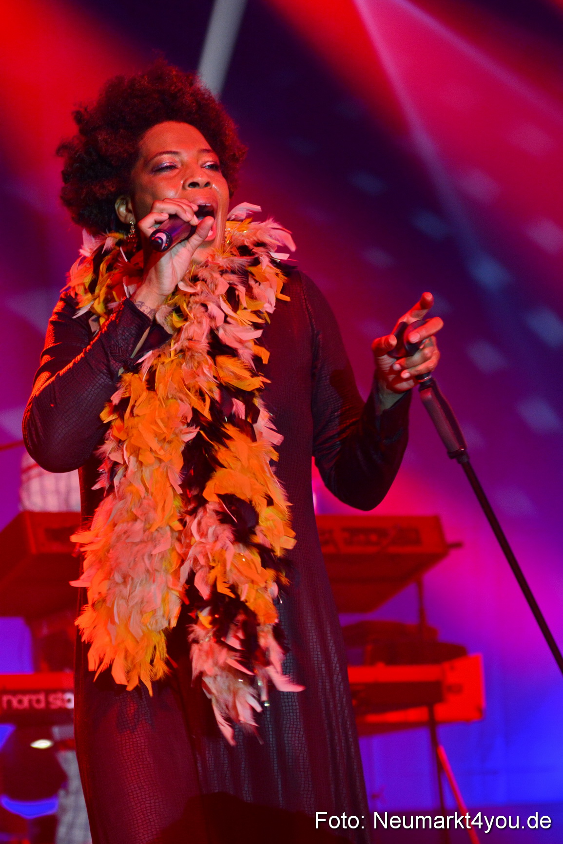 0066 Macy Gray Jazz und Blues Open Wendelstein 2017