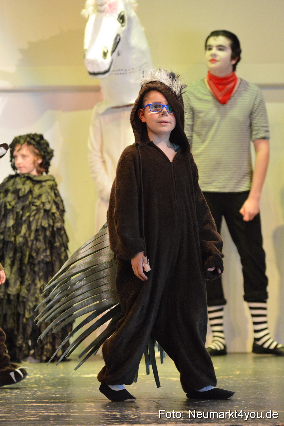 Vom Traum zur Wirklichkeit Foto Neumarkt4you 0124