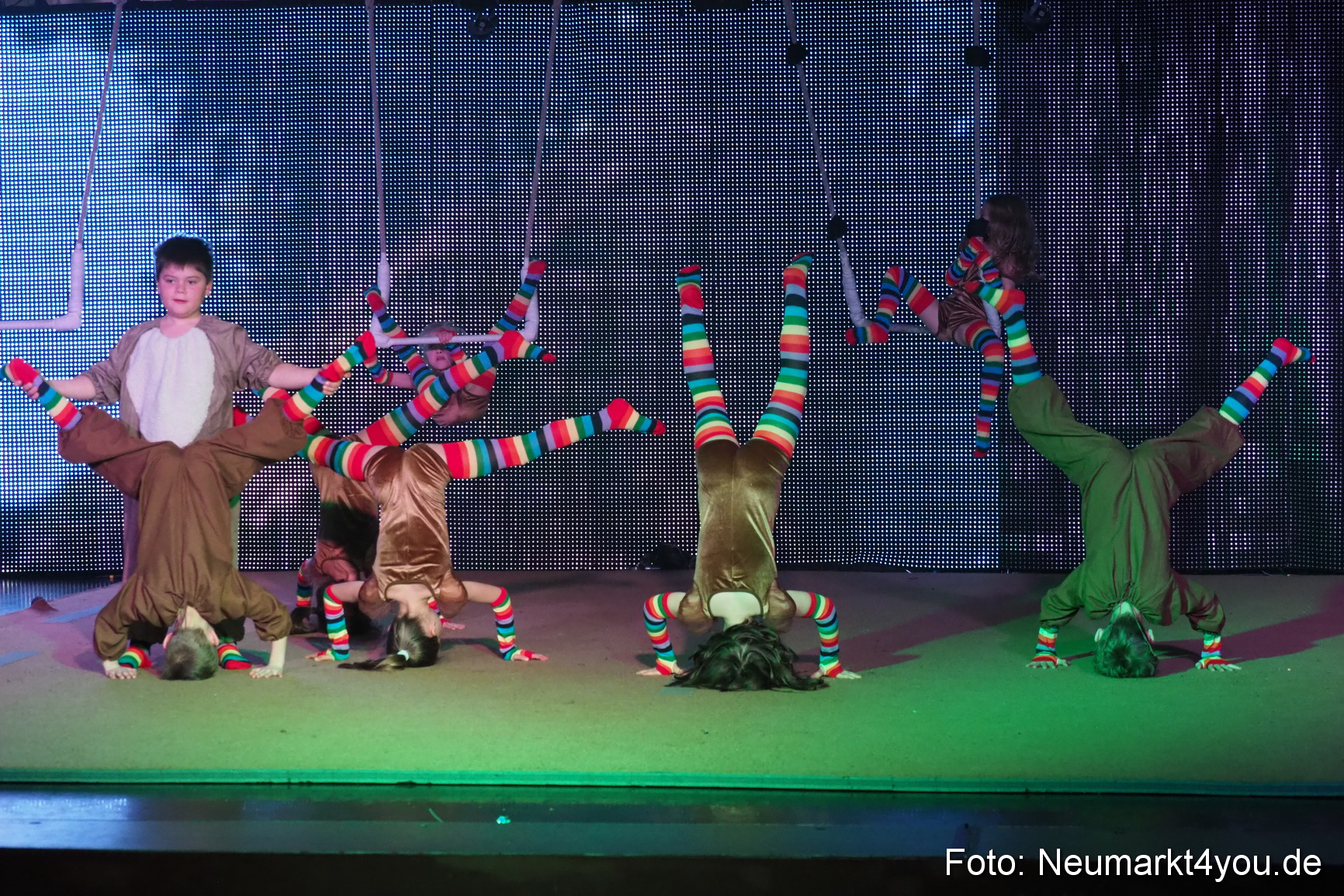 Avandora Artico 2018 0028