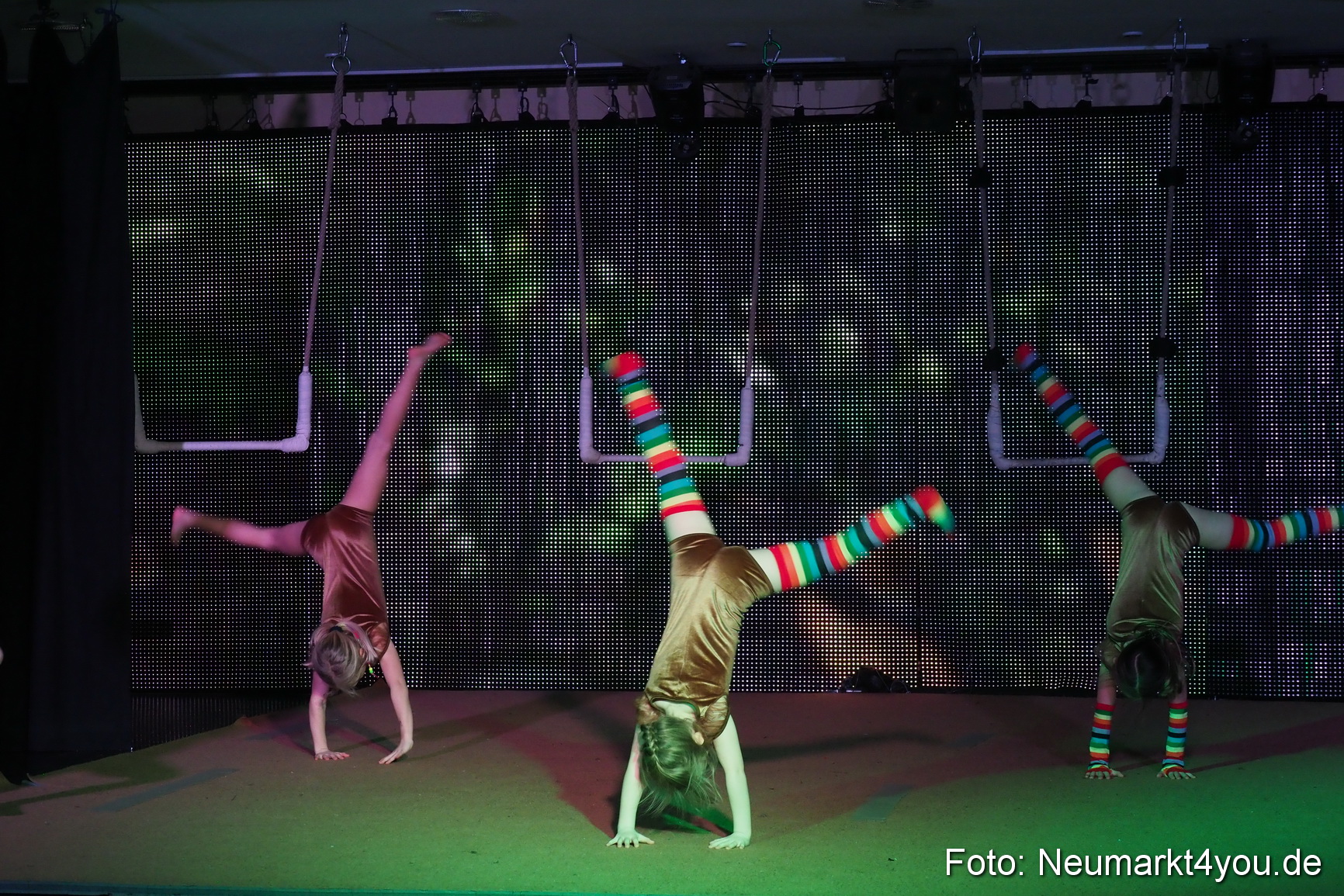 Avandora Artico 2018 0044