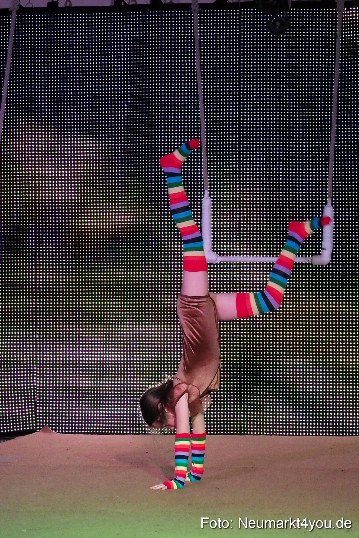 Avandora Artico 2018 0045