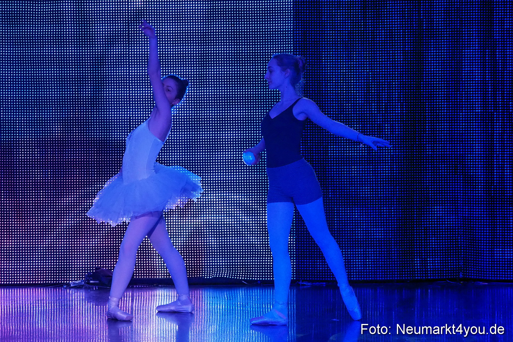 Avandora Artico 2018 0062