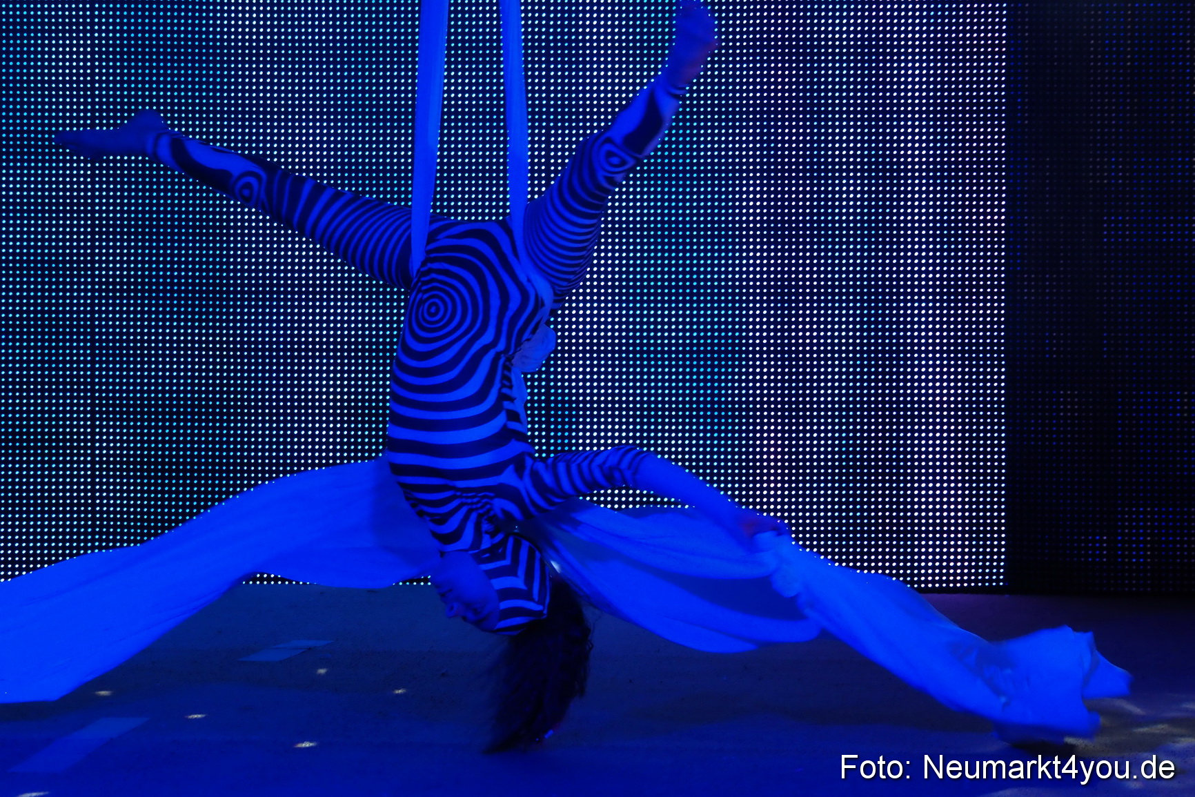 Avandora Artico 2018 0164