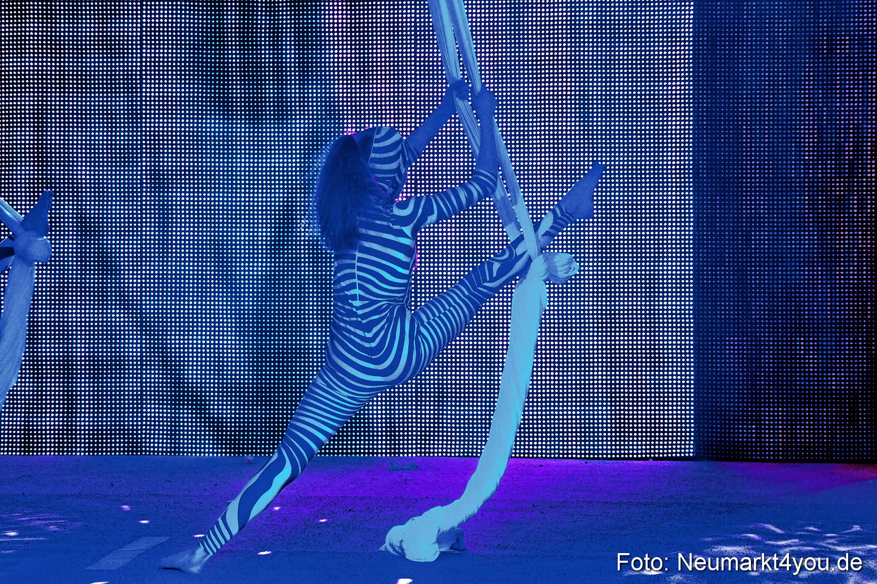 Avandora Artico 2018 0168