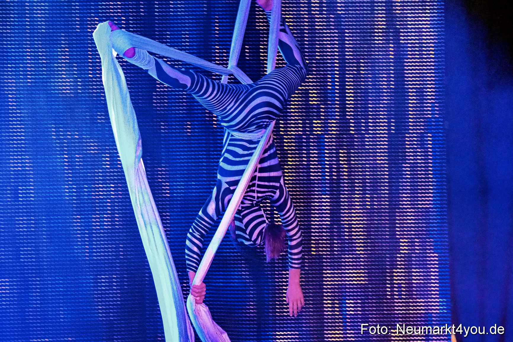 Avandora Artico 2018 0172