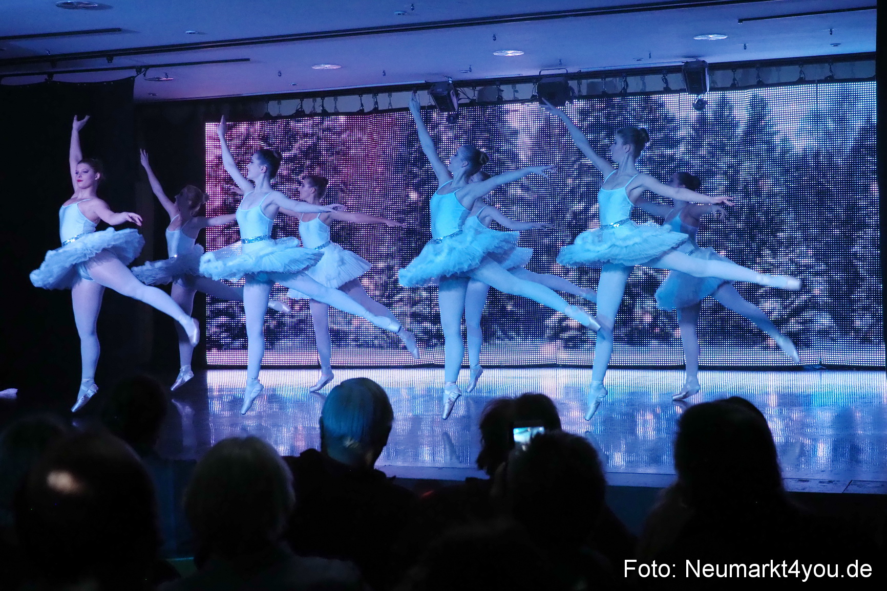 Nussknacker im Artico 081218 0101