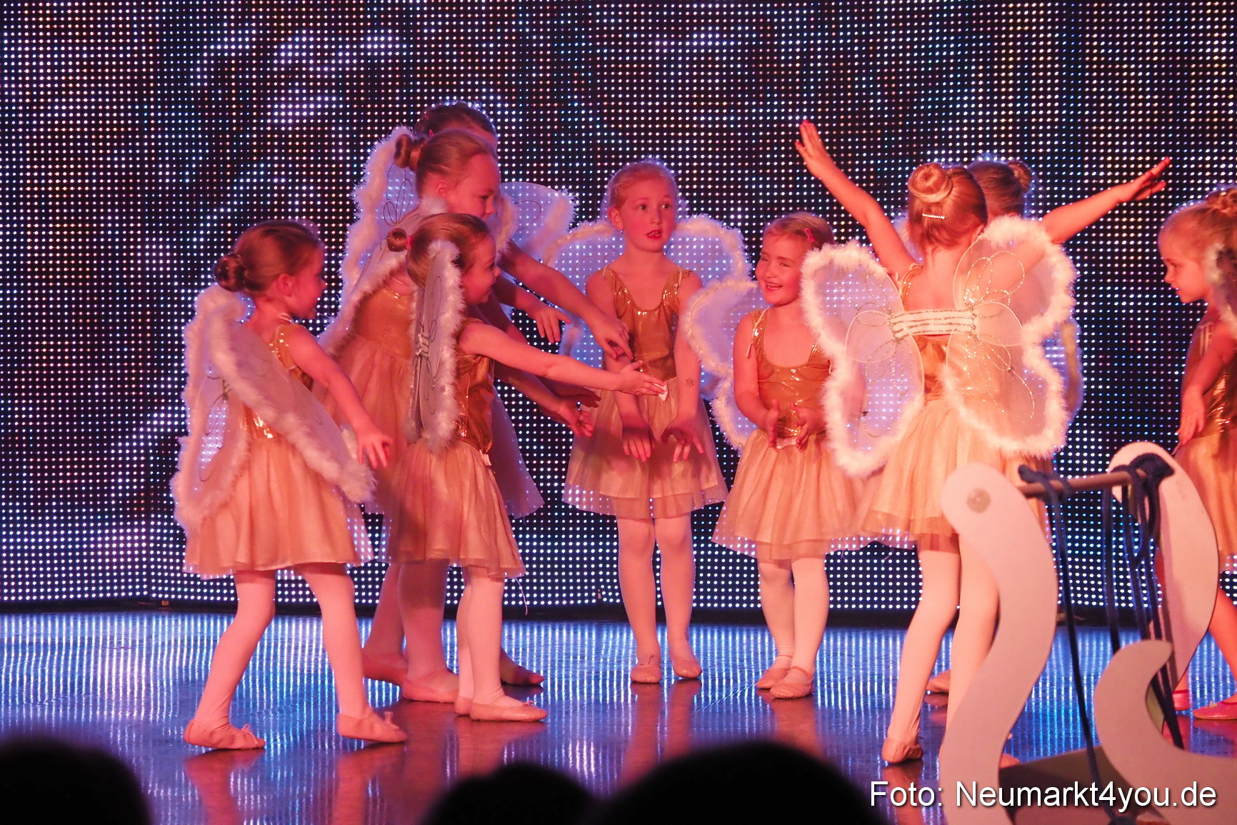 Nussknacker im Artico 081218 0115