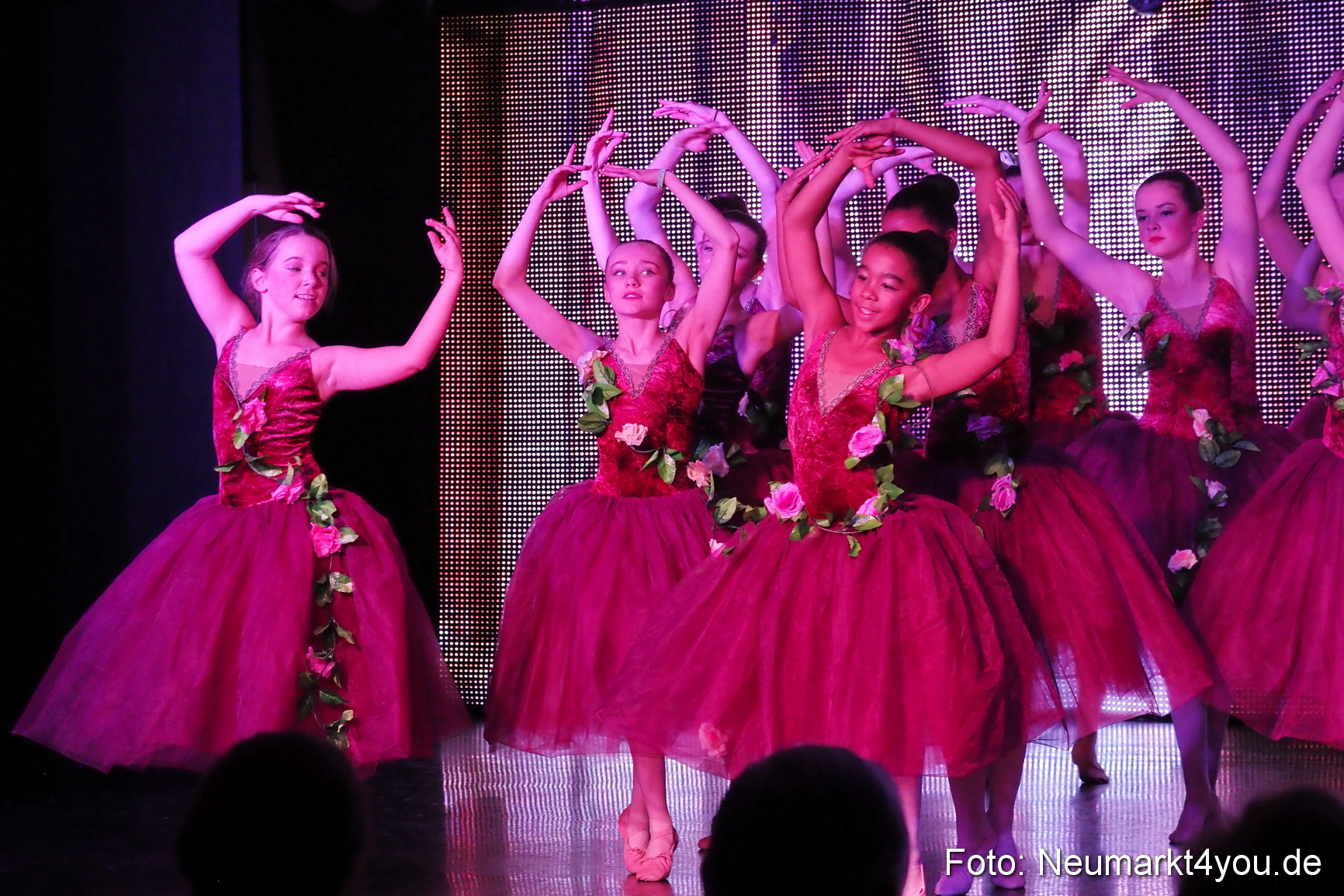 Nussknacker im Artico 081218 0168