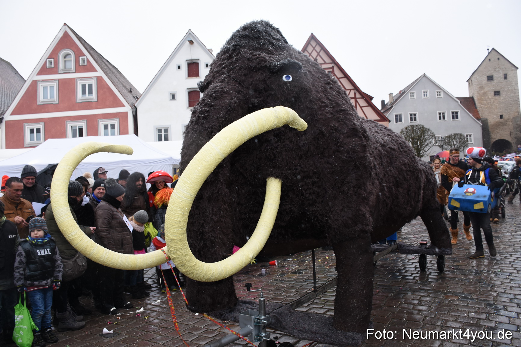 Faschingszug Berching 2018 110218 0299