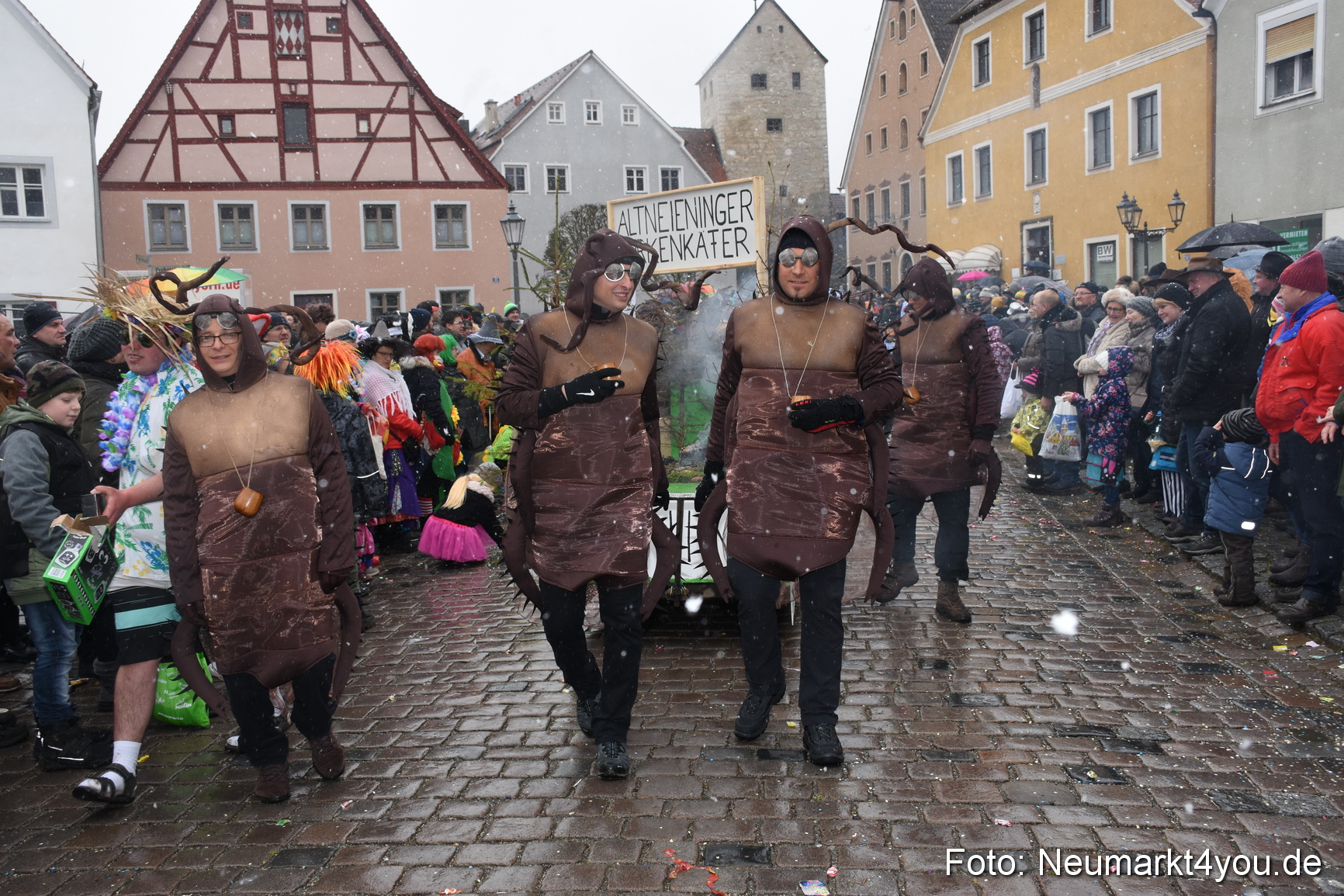Faschingszug Berching 2018 110218 0412