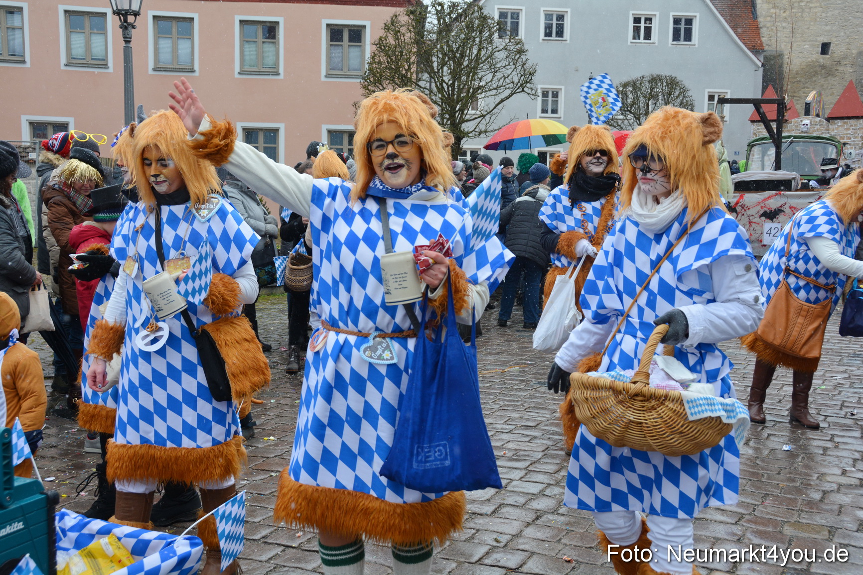 Faschingszug Berching 2018 110218 0426
