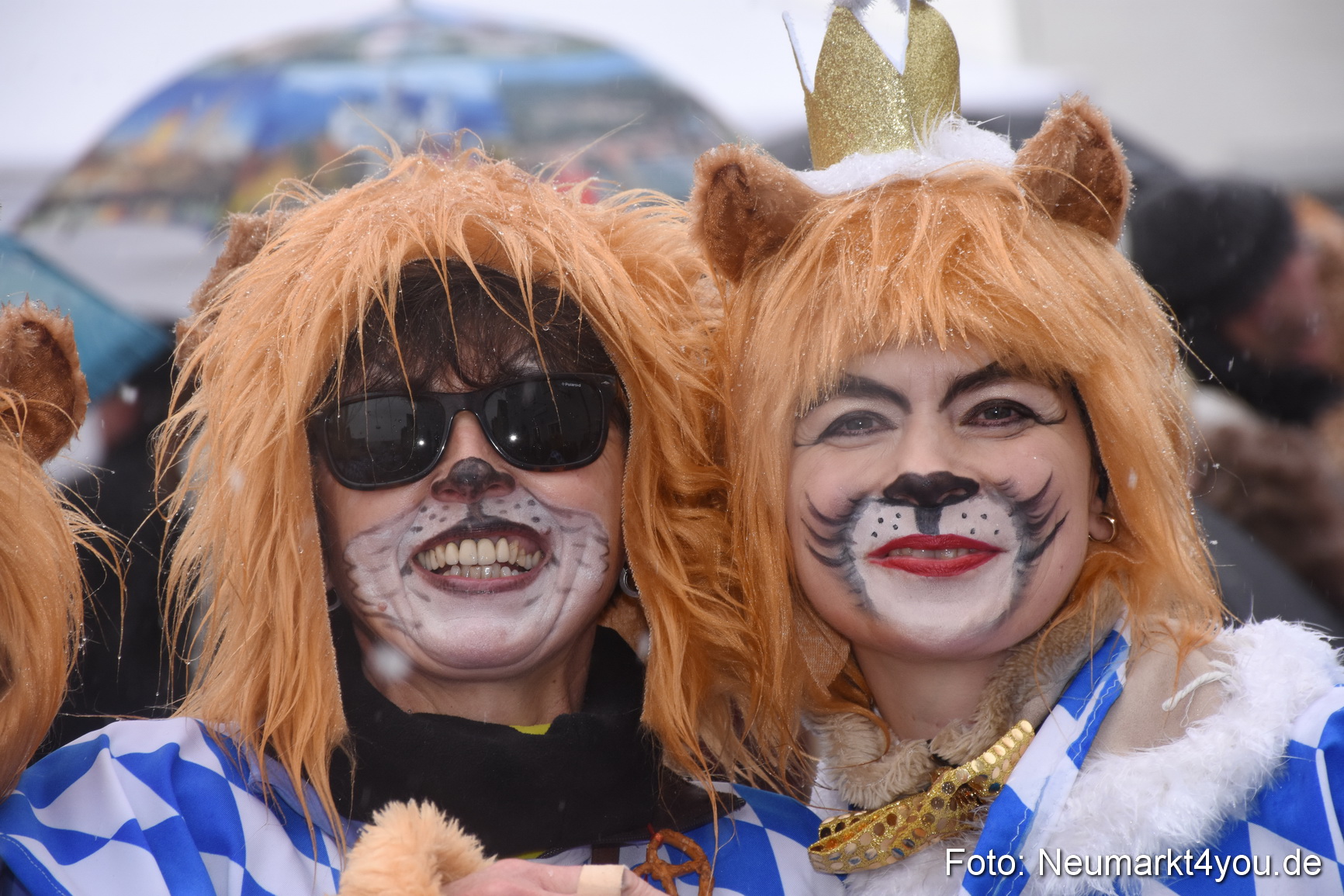 Faschingszug Berching 2018 110218 0440