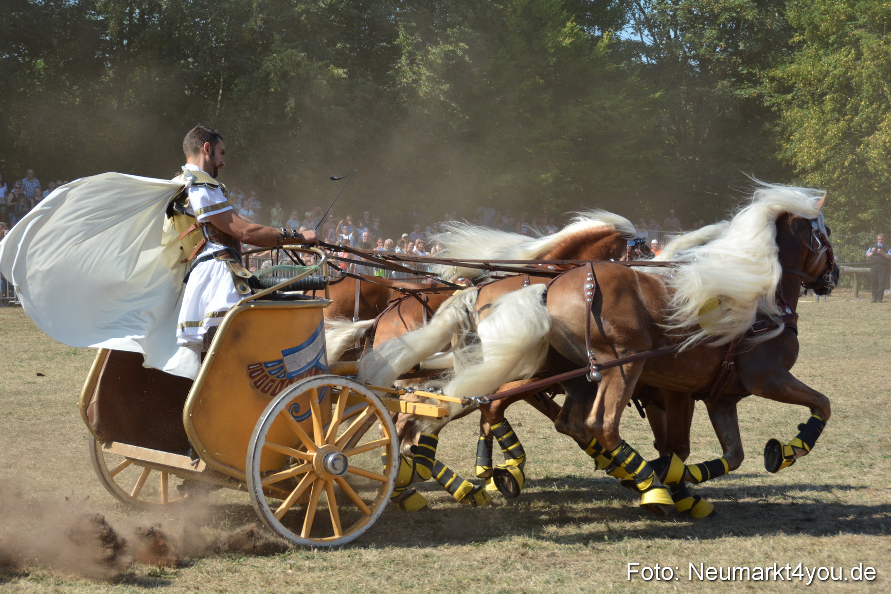 JURA Volksfest Pferde Und Fohlenschau 2018