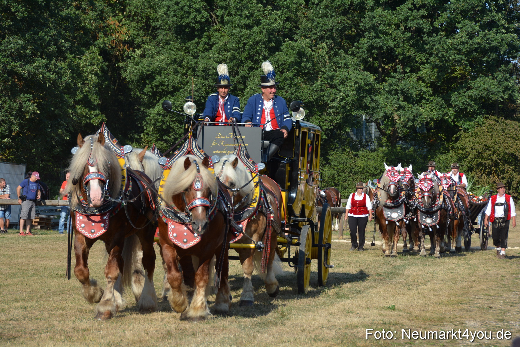 Pferde und Fohlenschau JURA Volksfest 2018 0003