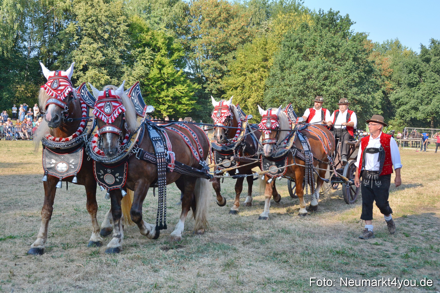 Pferde und Fohlenschau JURA Volksfest 2018 0007