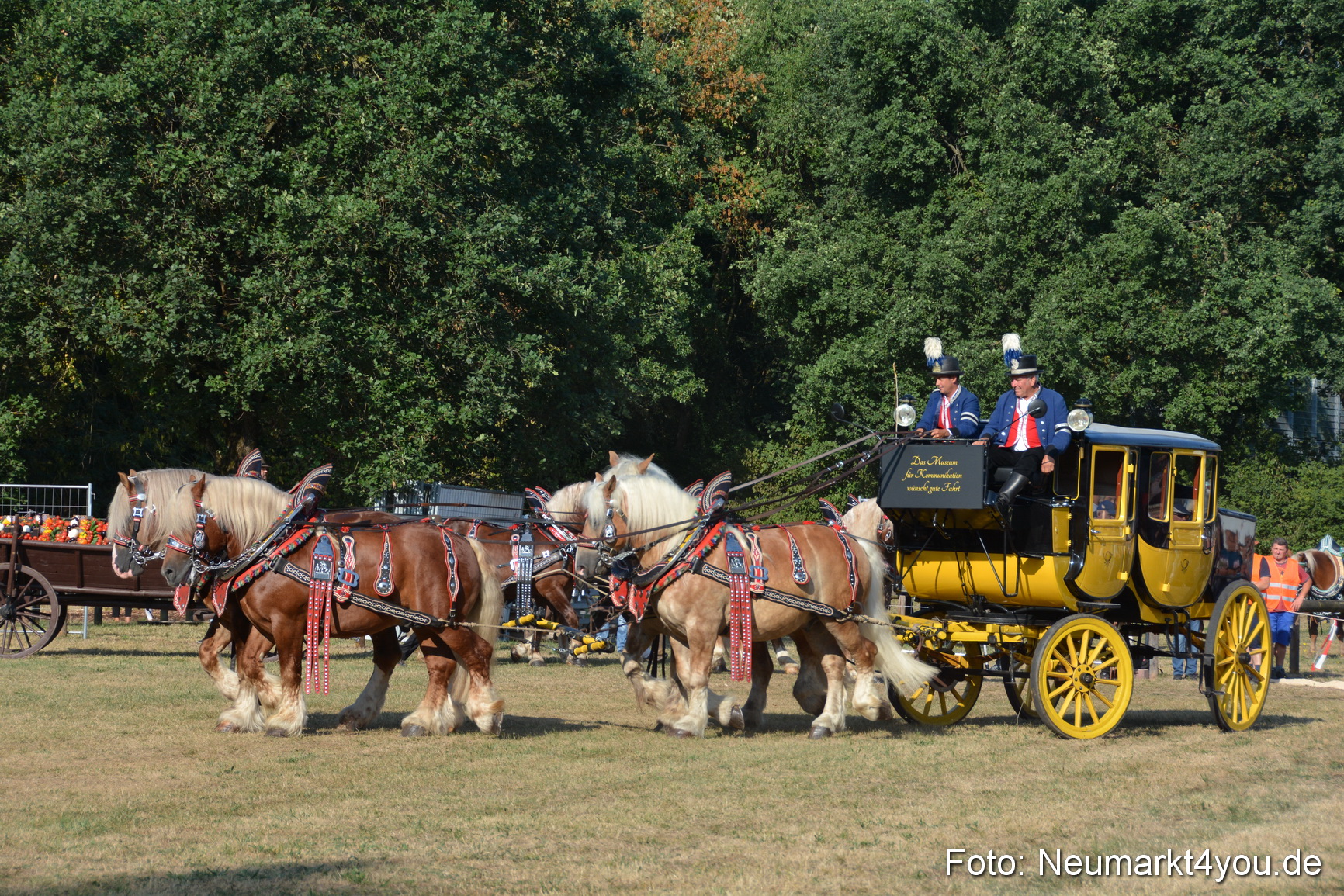 Pferde und Fohlenschau JURA Volksfest 2018 0010