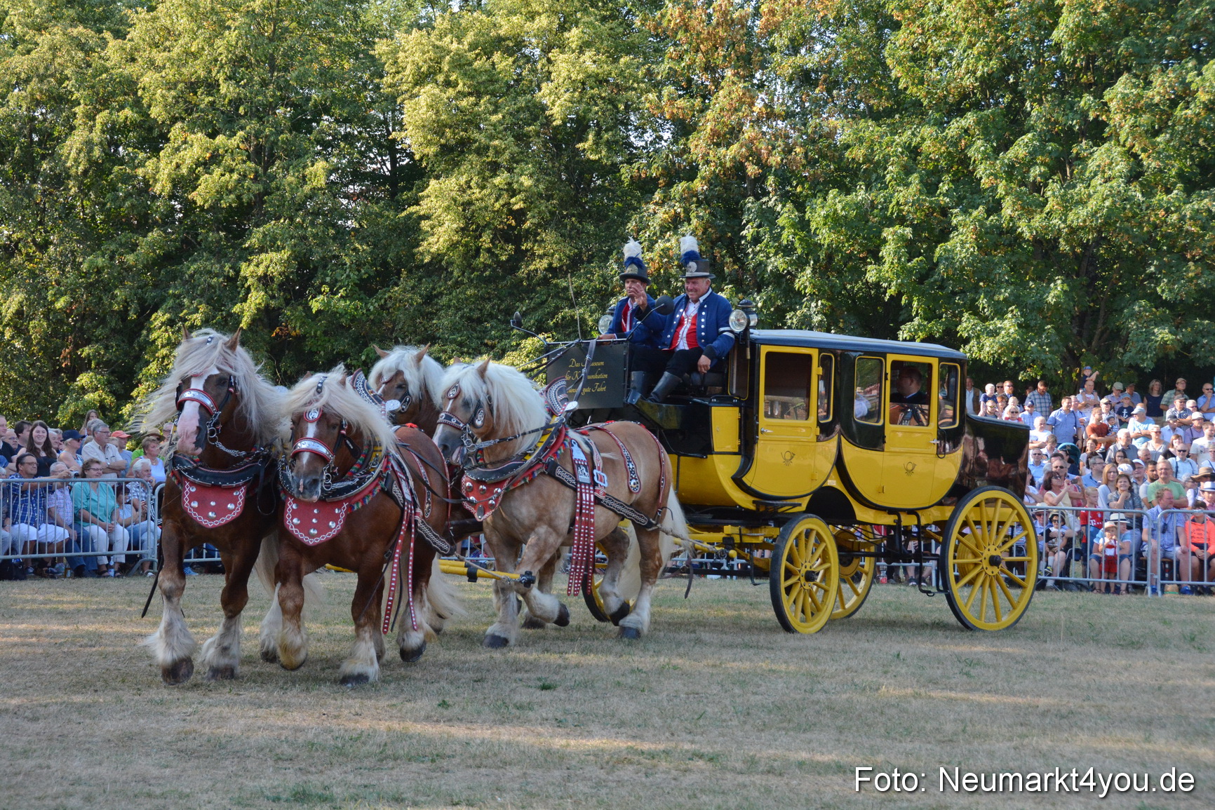 Pferde und Fohlenschau JURA Volksfest 2018 0012