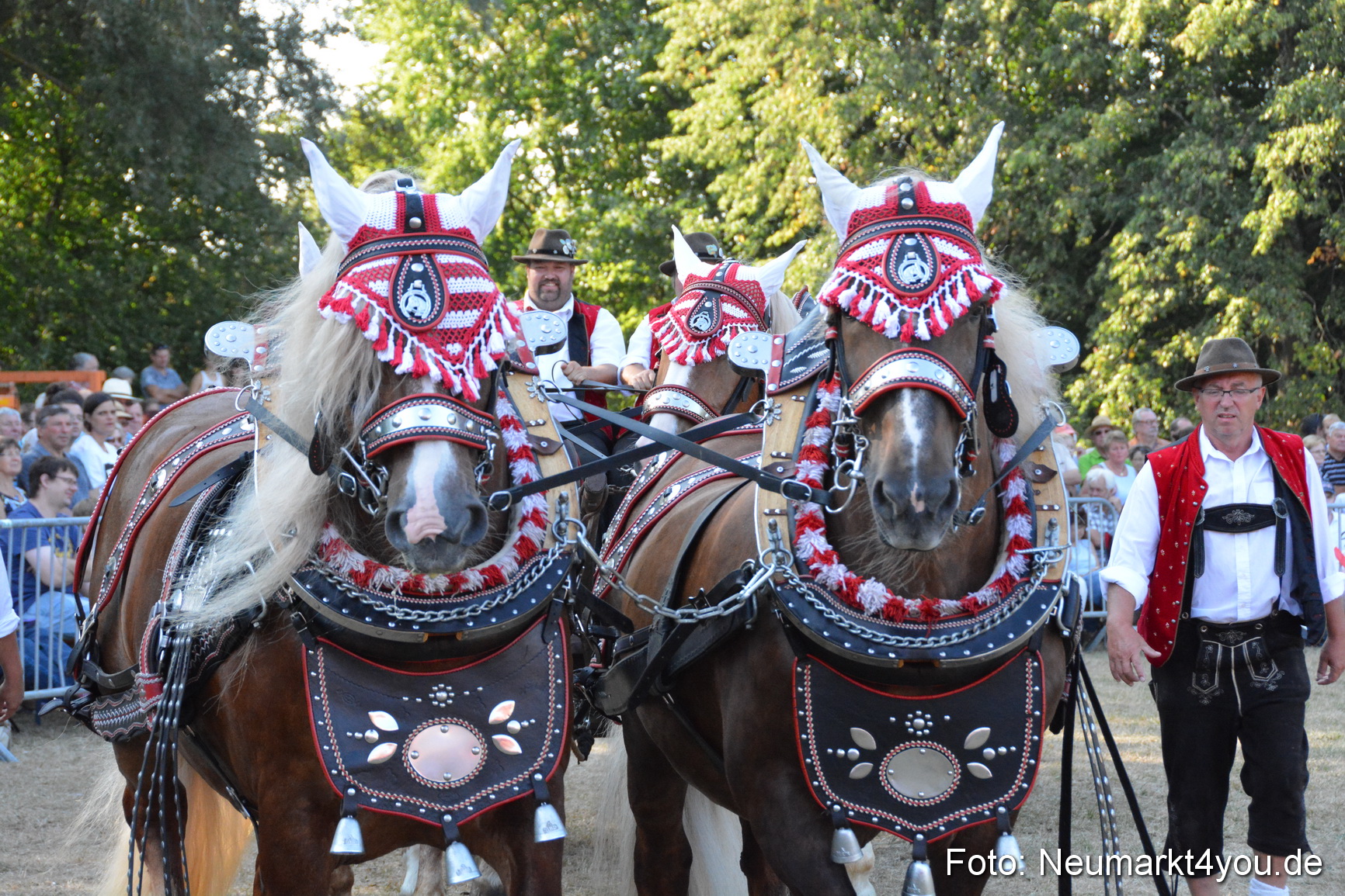 Pferde und Fohlenschau JURA Volksfest 2018 0014