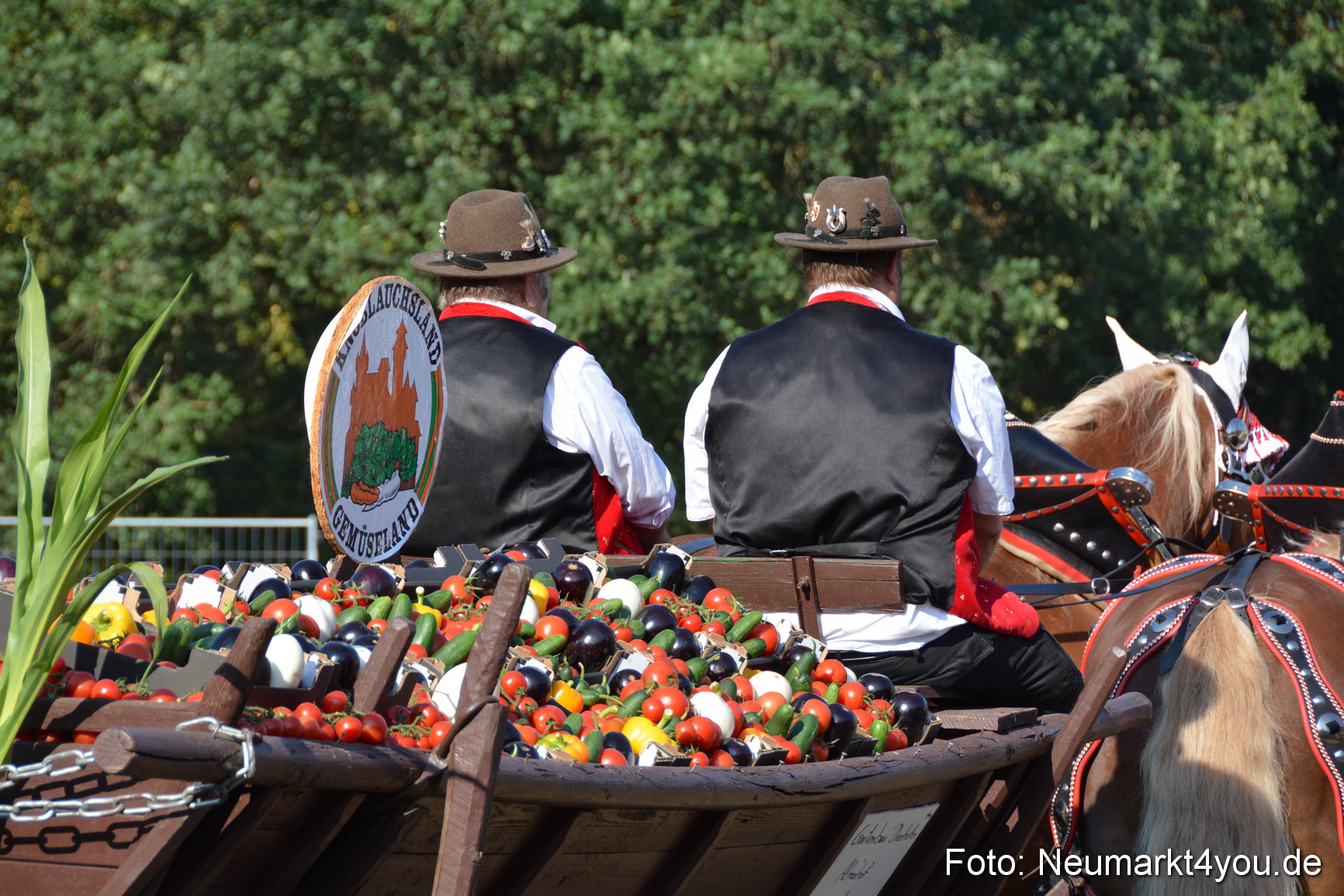 Pferde und Fohlenschau JURA Volksfest 2018 0015