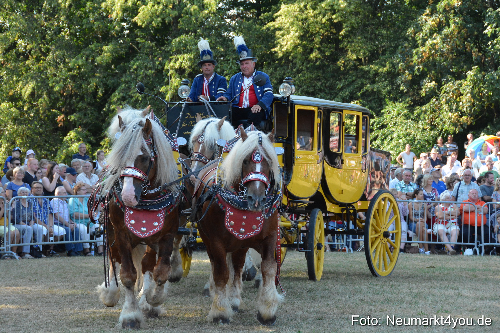 Pferde und Fohlenschau JURA Volksfest 2018 0017