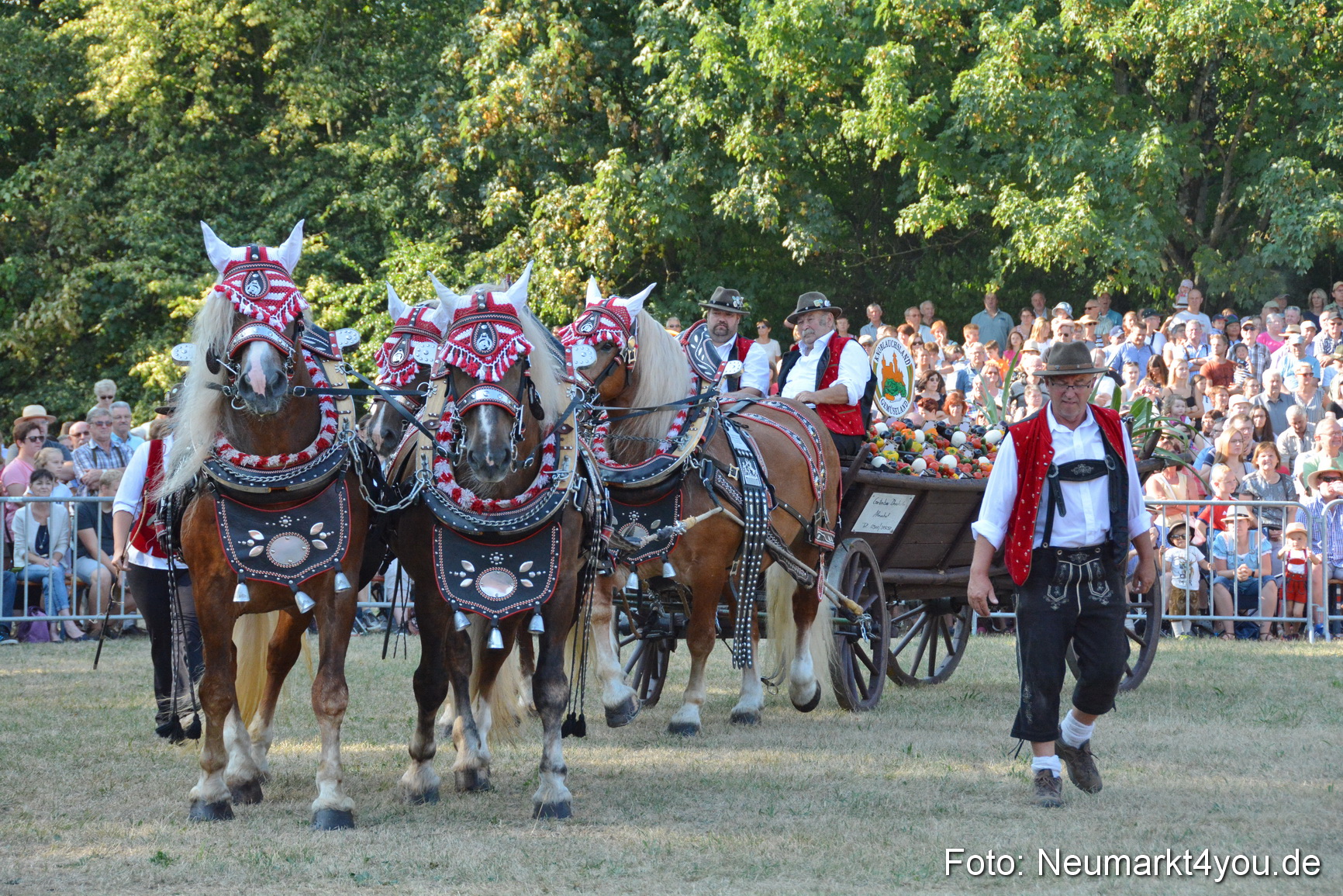 Pferde und Fohlenschau JURA Volksfest 2018 0019