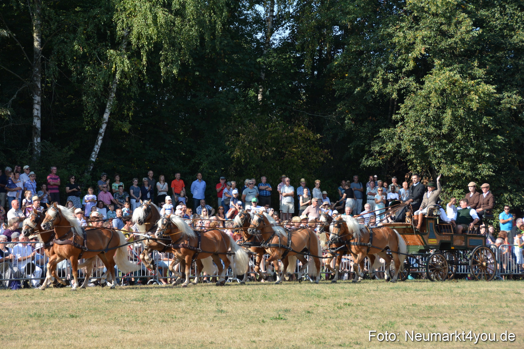 Pferde und Fohlenschau JURA Volksfest 2018 0020