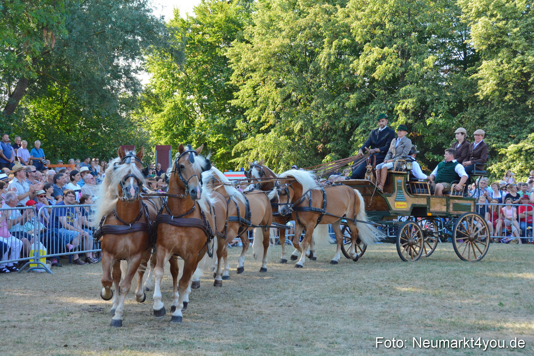 Pferde und Fohlenschau JURA Volksfest 2018 0021