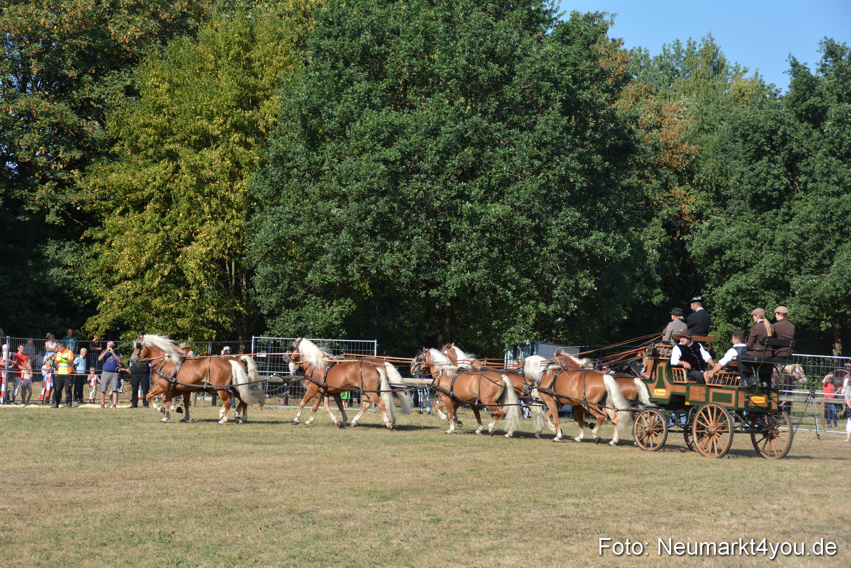 Pferde und Fohlenschau JURA Volksfest 2018 0023