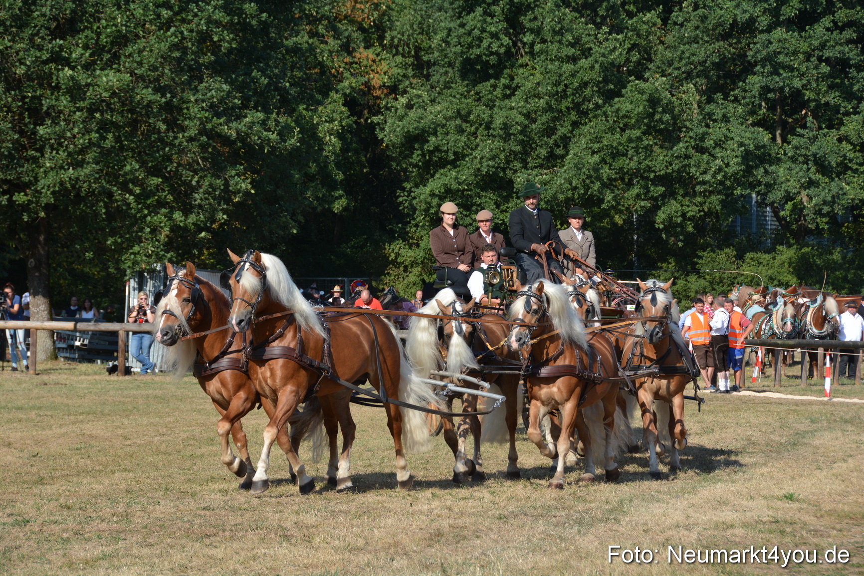Pferde und Fohlenschau JURA Volksfest 2018 0024