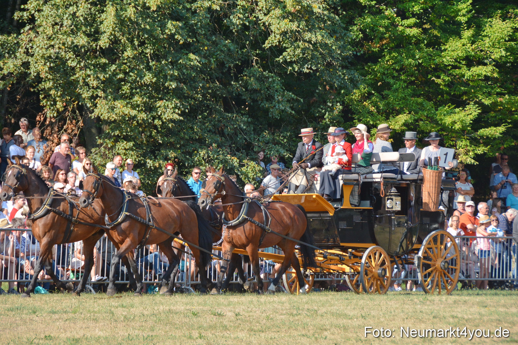 Pferde und Fohlenschau JURA Volksfest 2018 0031