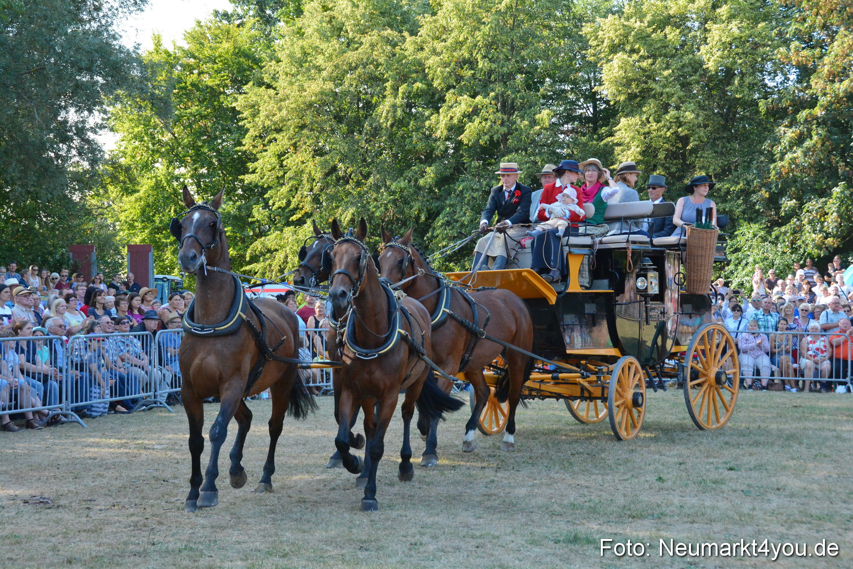 Pferde und Fohlenschau JURA Volksfest 2018 0032