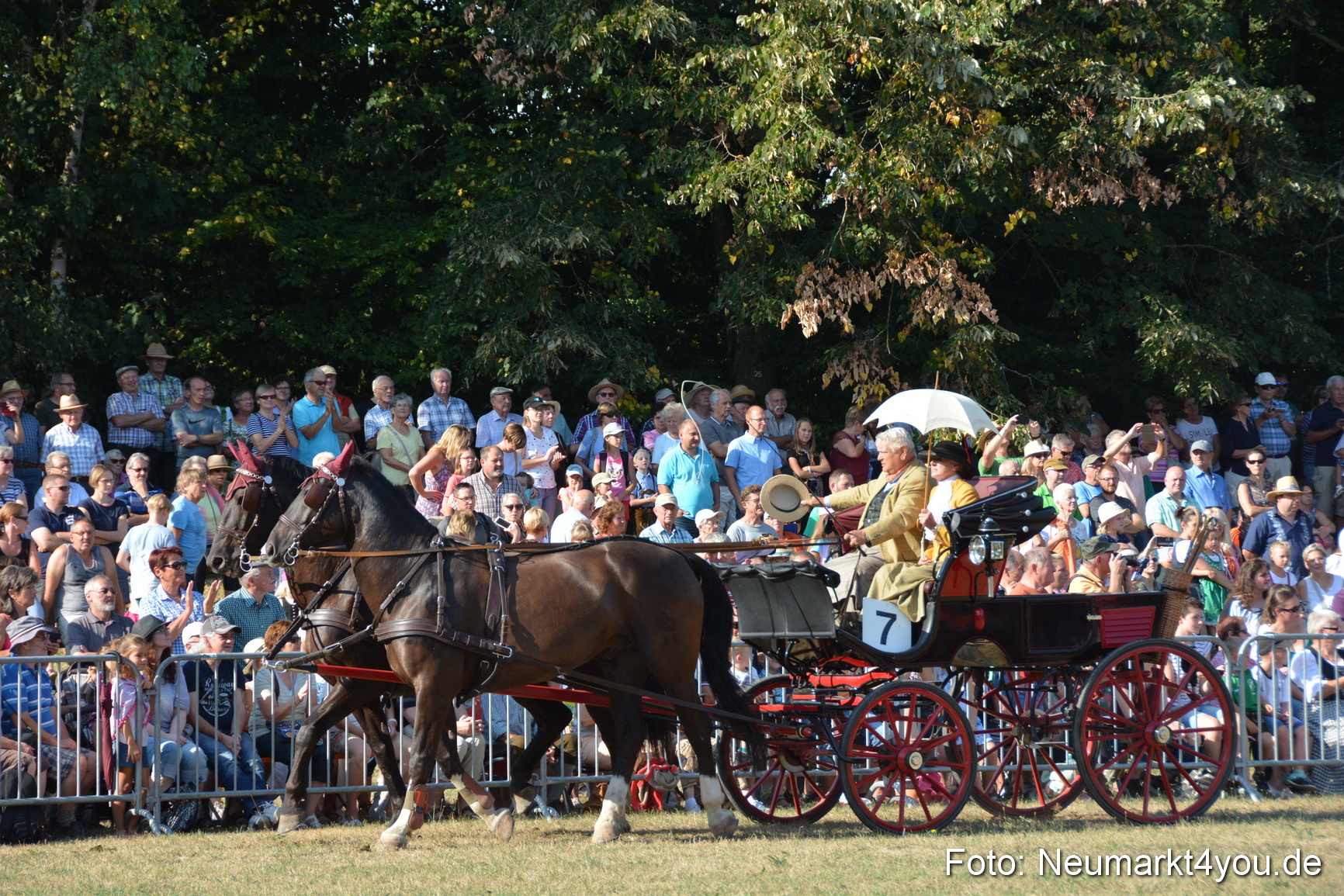 Pferde und Fohlenschau JURA Volksfest 2018 0034