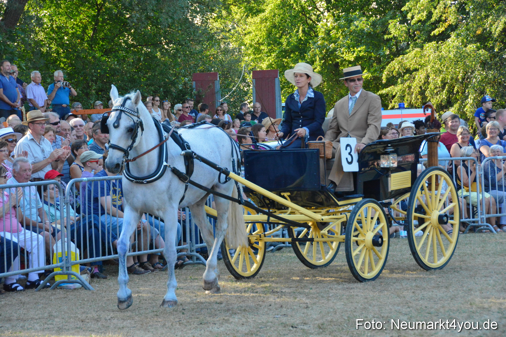 Pferde und Fohlenschau JURA Volksfest 2018 0036