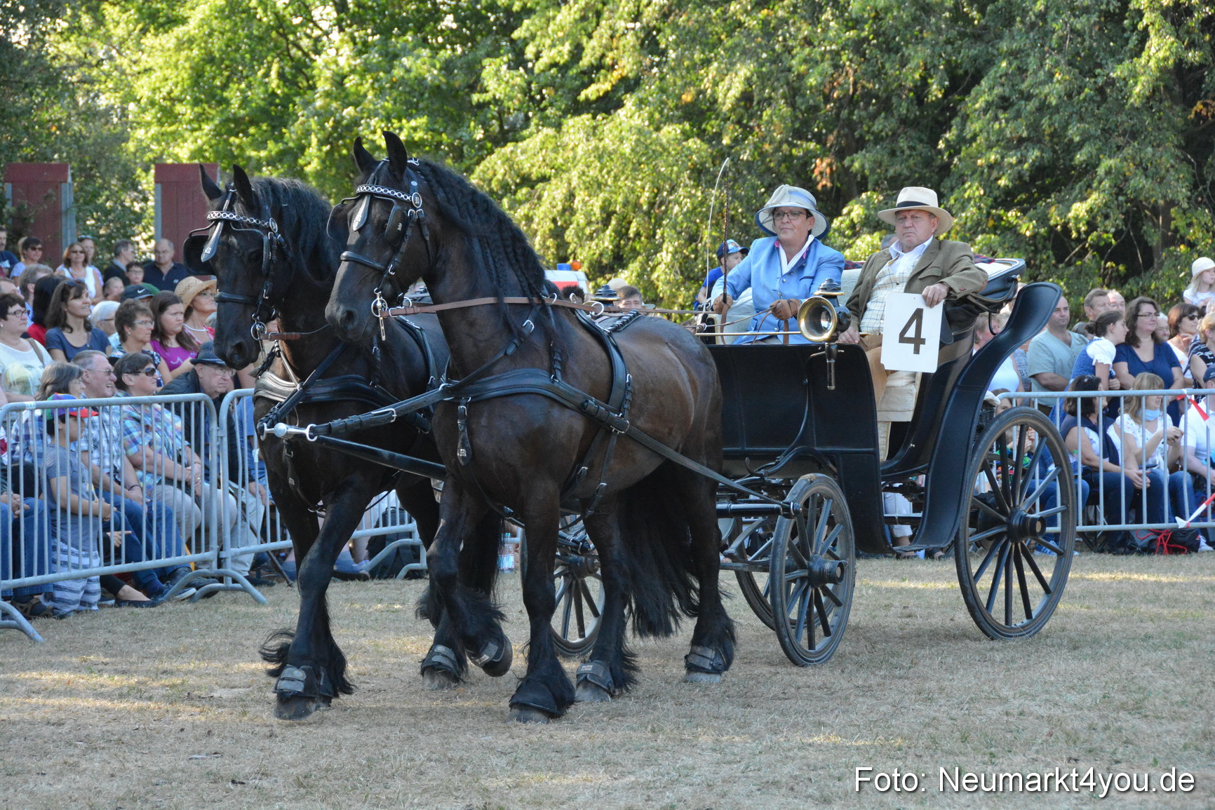 Pferde und Fohlenschau JURA Volksfest 2018 0038